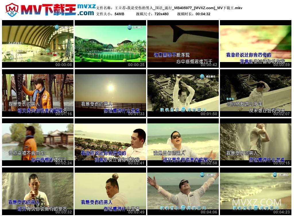 王立荐-我是受伤的男人_国语_流行_MB405977
